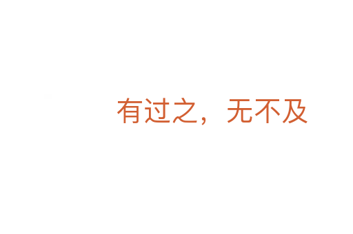 有过之,无不及