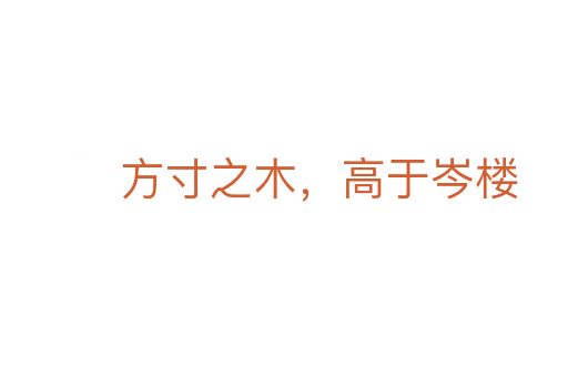 方寸之木,高于岑楼