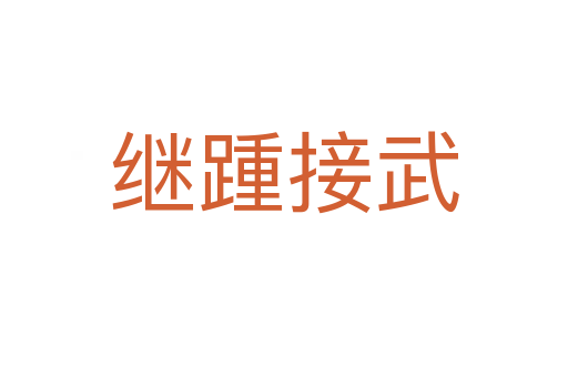 继踵接武