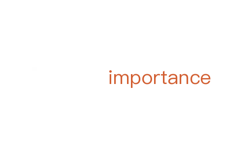 importance