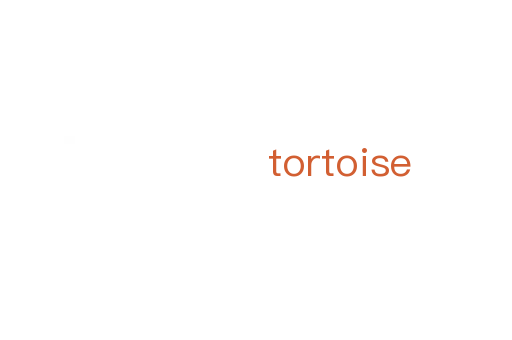 tortoise